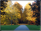 foto Parco Karlsaue in Autunno